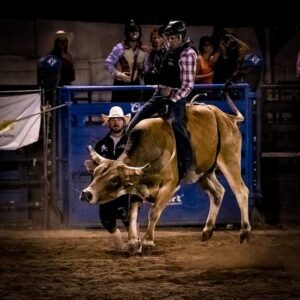 image of guy riding a bull