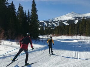 Cross Country Skiers