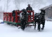 bearcat-stables-winter