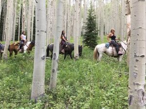 Vail Stables